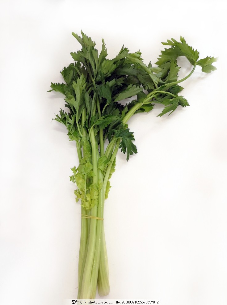 河南桐柏：特征工业促复兴