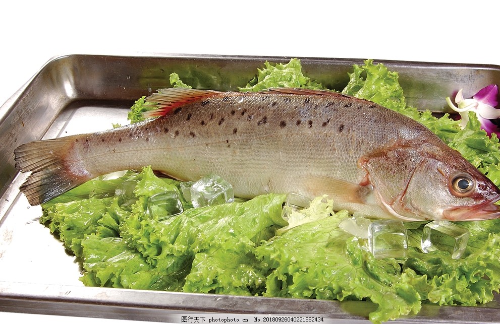 鲈鱼,饭店菜品,精品菜,美味佳肴,舌尖上的中国,传统美味,流水席