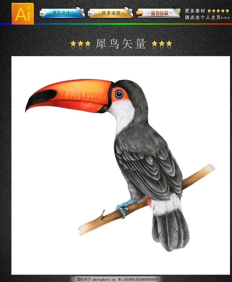 犀鸟图片 鱼类 生物世界 图行天下素材网